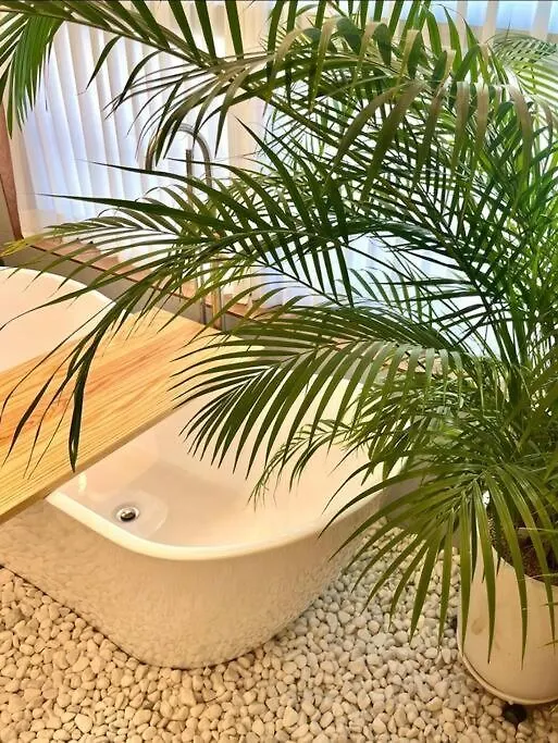 Busan Yeongdo Opening 0*,  Νότια Κορέα